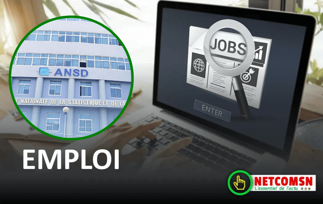 🇸🇳 Emploi au Sénégal : baisse du taux de chômage au quatrième trimestre 2024 (ANSD) 1 🇸🇳 Emploi au Sénégal : baisse du taux de chômage au quatrième trimestre 2024 (ANSD)