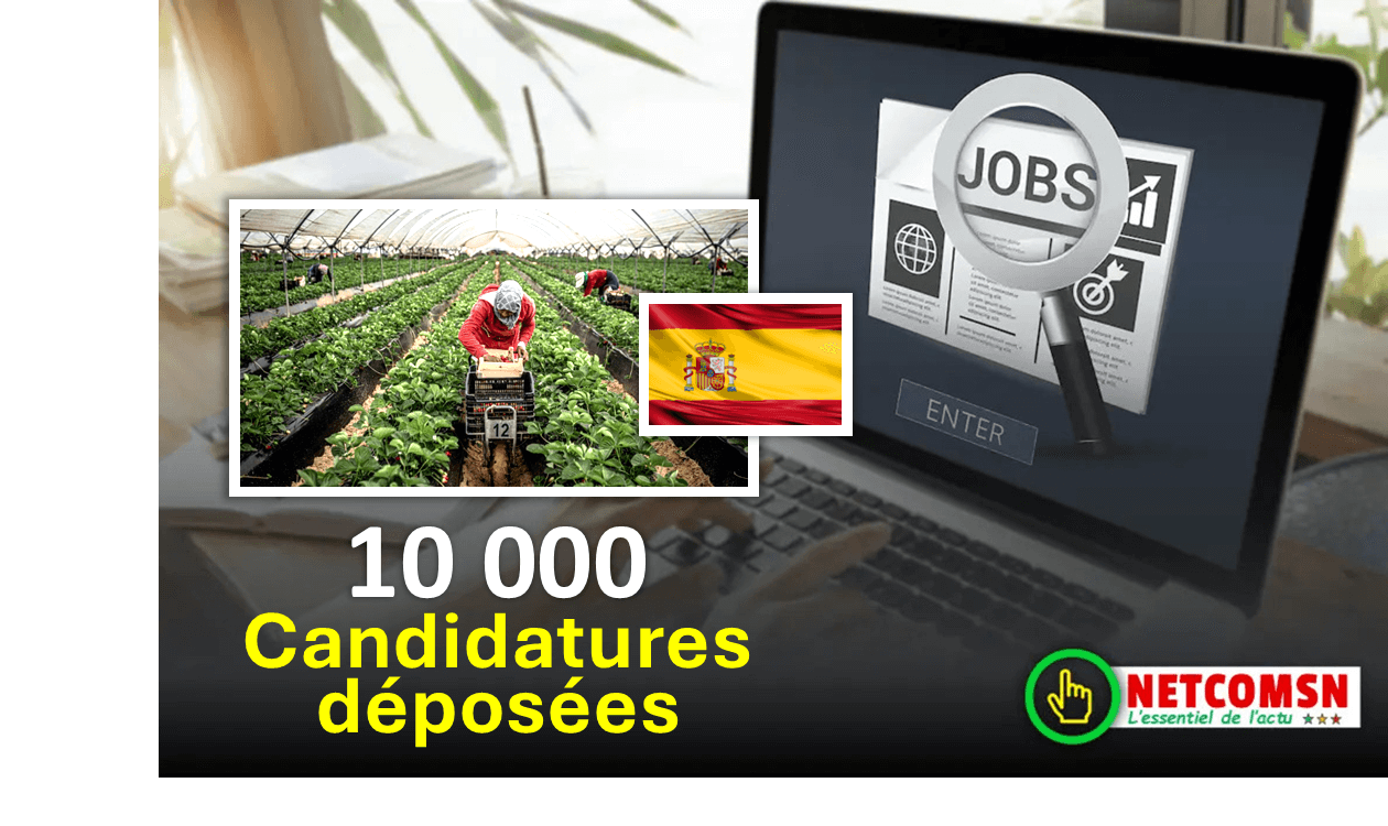 🇸🇳 Travailleurs saisonniers en Espagne : 10 000 candidatures déposées, un dispositif en ligne bientôt disponible 1 🇸🇳 Travailleurs saisonniers en Espagne : 10 000 candidatures déposées, un dispositif en ligne bientôt disponible