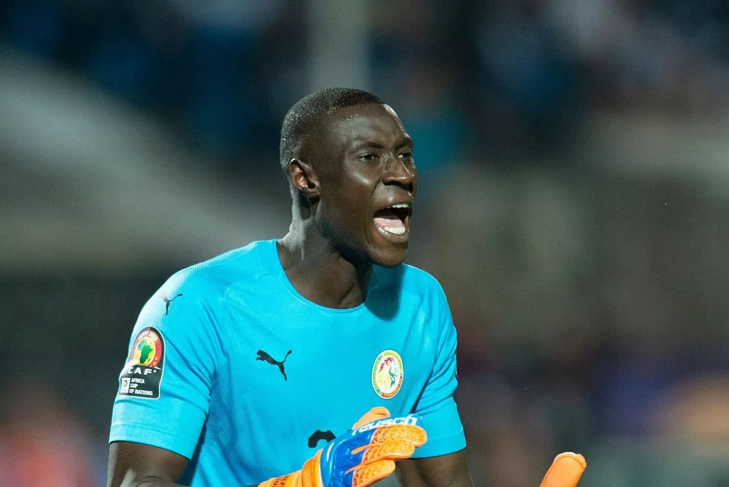 🇸🇳 Alfred Gomis victime d'une escroquerie immobilière 1 🇸🇳 Alfred Gomis victime d’une escroquerie immobilière