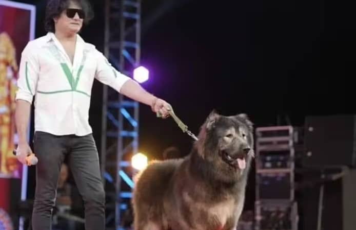 💰 Le chien le plus cher du monde vendu pour une somme astronomique