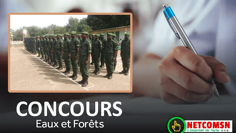 🇸🇳 Convocations disponibles pour le concours eaux et forêts